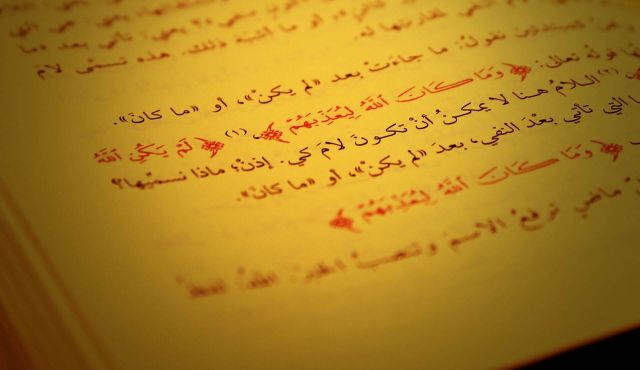 Aulas de árabe com professores experientes